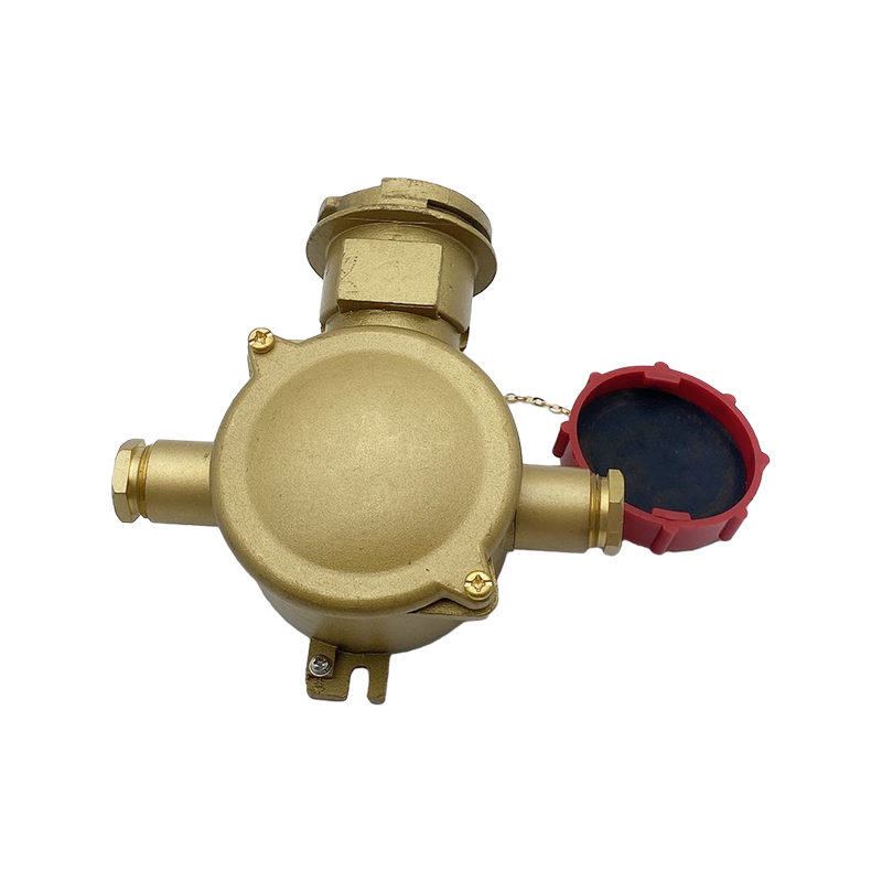 Ổ cắm điện bằng đồng thau với công tắc khóa liên động-CZS3-2 1I4